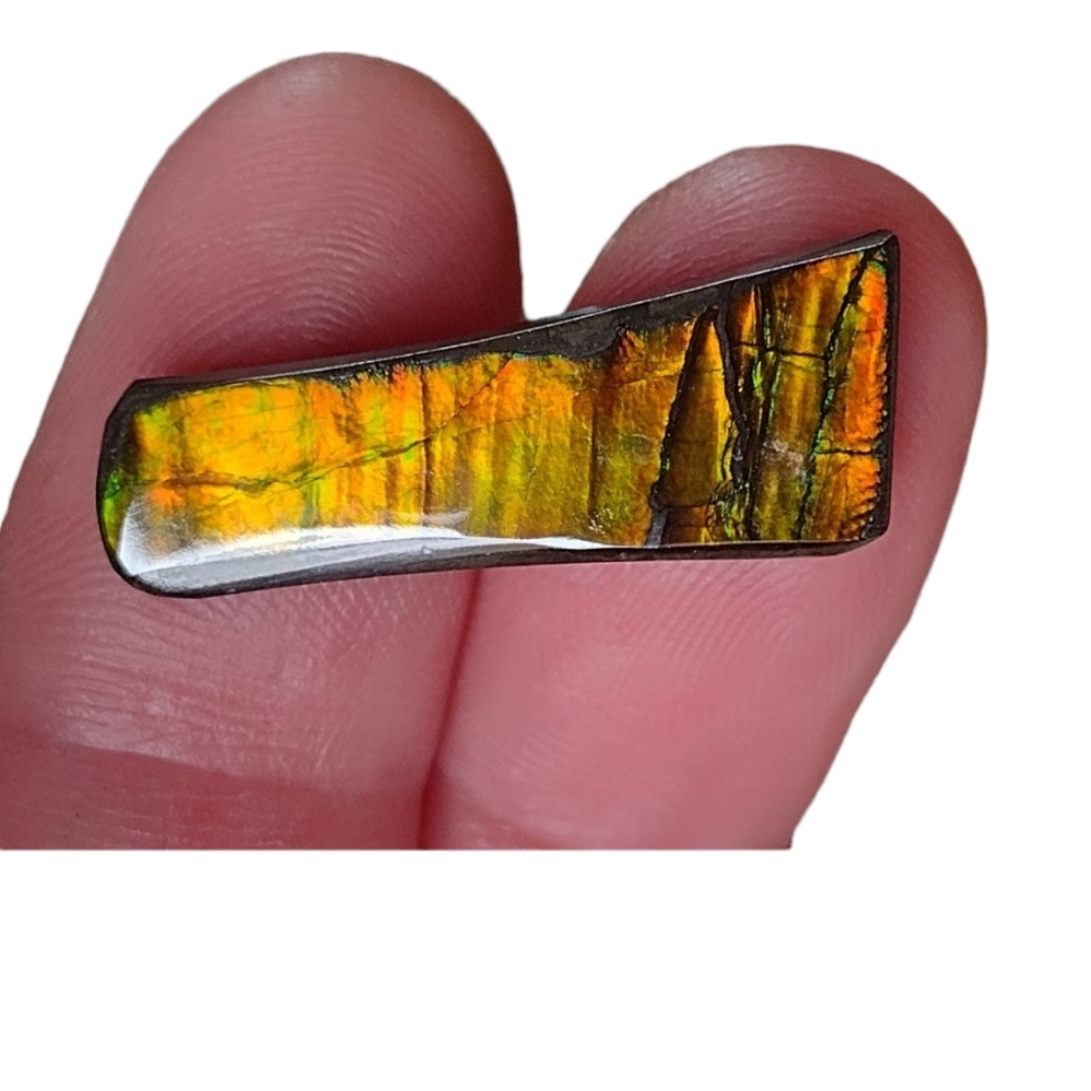 Genuine Rare Color Change Alberta Canada Free Form Ammolite ✨️ - Picture 2 of 5